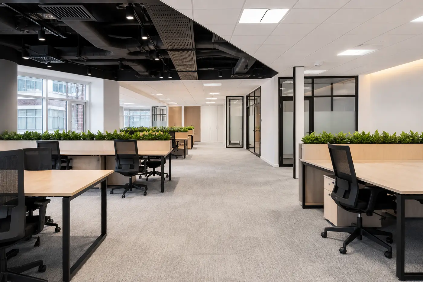 Commercial space after finishing coordination
